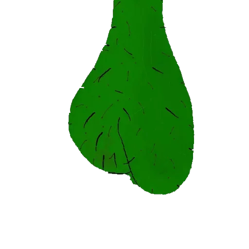 The NUTS standard token logo